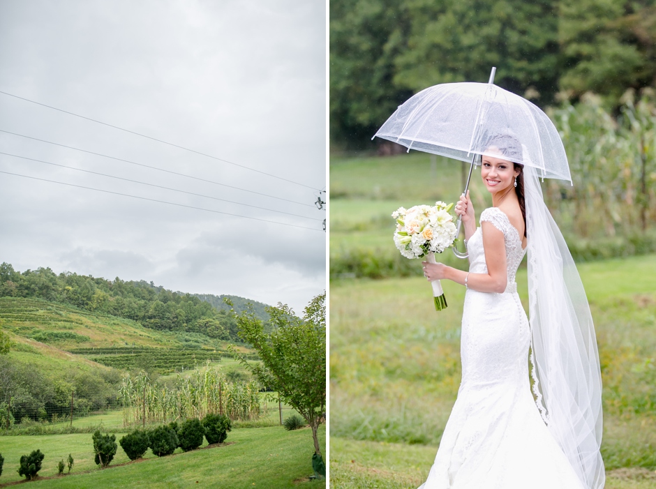 2A-Delfosse-Vineyards-Winery-Wedding-Charlottesville-Virginia-Photographer-Lindsey-Chris-1018