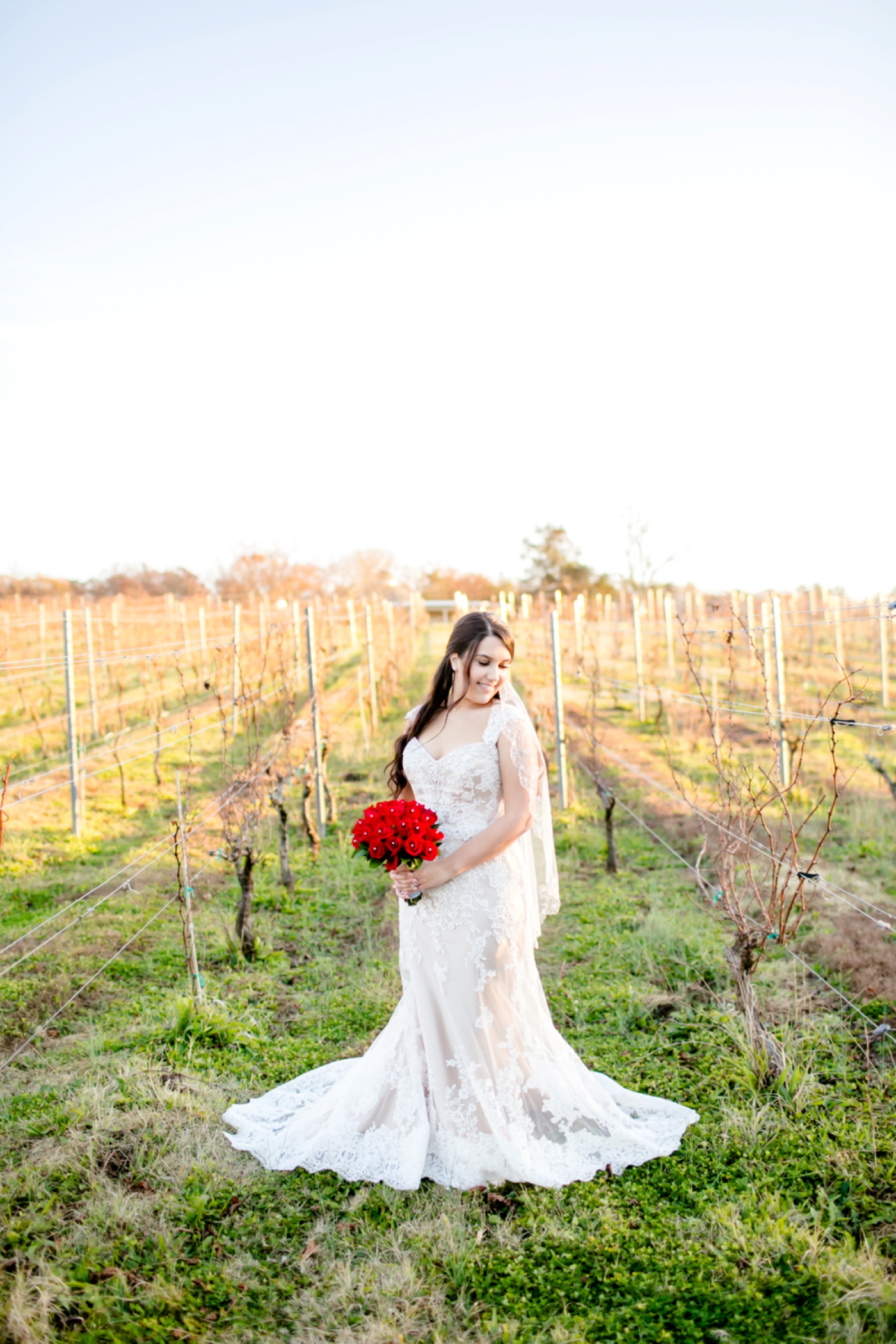 20A-Morias-Vineyards-and-Winery-Wedding-Photographer-1146